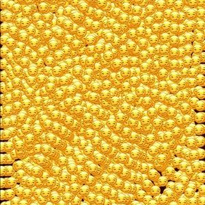 Meet your Posher, Dreshawn